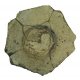 Crinoid1