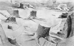 FossilGrove
