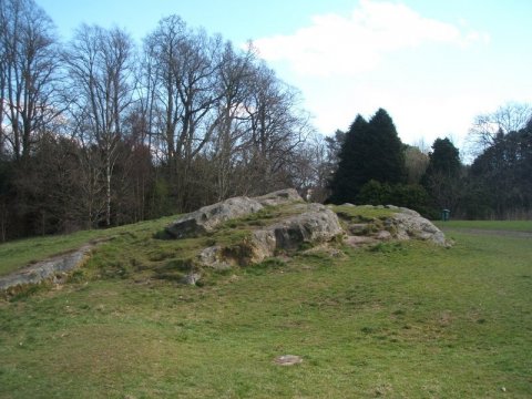 Picnic Rock at Rouken Glen