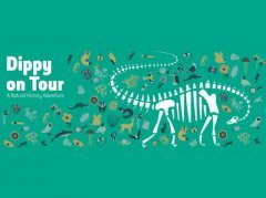 017_070__dippy_1547219295_standard