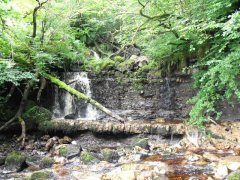 Campsie Glen