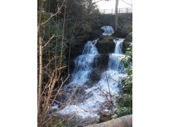 Rouken Glen